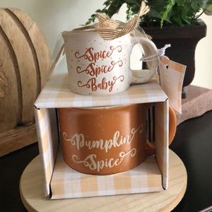 Pumpkin Spice and Spice Spice Baby Mugs